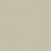 Close-up view of the Endless Pools apex coping in the Desert Plateau colour option, showcasing a warm, sandy beige tone with a smooth matte texture and subtle speckled detailing. This coping option delivers a natural, earthy finish that complements outdoor pool surroundings, providing a seamless blend with stone or desert-inspired landscaping. Designed for durability and aesthetic harmony, this coping finish adds a sophisticated edge to the pool's perimeter.