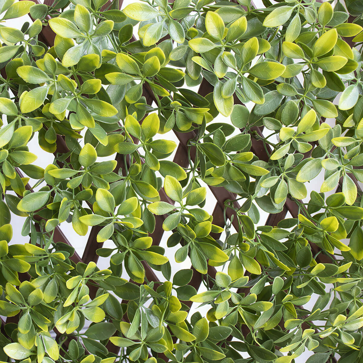 A close up overhead style view of the Boxwood Privacy Trellis featuring detailed artificial boxwood leaves in layered clusters. The leaves range from soft lime green to deeper natural green with a glossy surface that mimics live foliage. The brown plastic lattice beneath is faintly visible, showing diagonal cross beams supporting the lifelike leaves.
