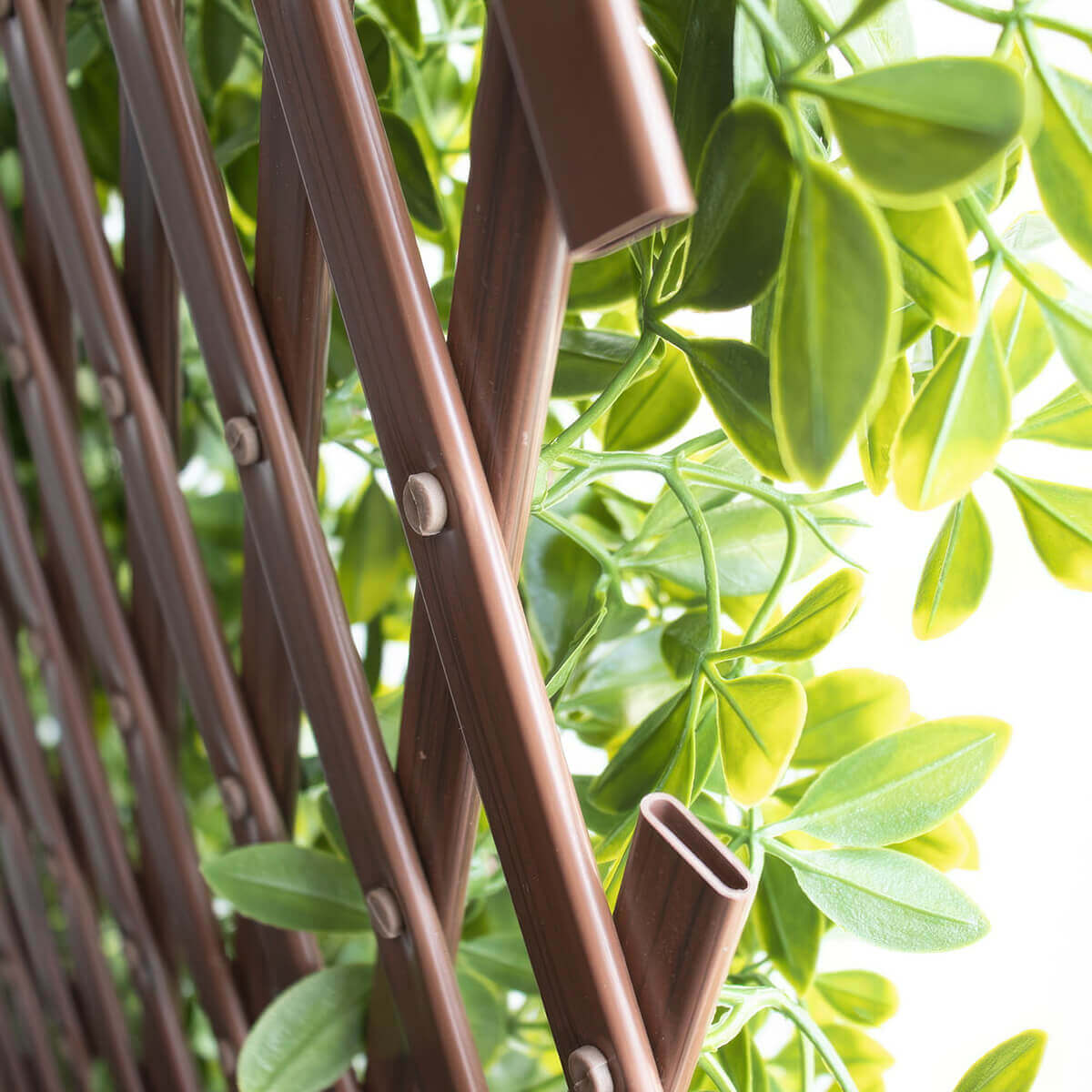 A macro angled view of the extendable brown plastic lattice of the Boxwood Privacy Trellis, showing open rectangular tube ends and pivoting joints that allow the structure to stretch. The surrounding artificial boxwood leaves overlap the frame in varied shades of light and medium green, with soft highlights emphasising their realistic veining and curved edges. The image focuses on the construction details that make the trellis lightweight and adjustable.