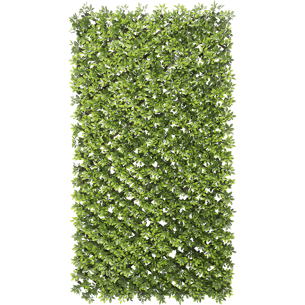 A front facing studio style image of the Boxwood Privacy Trellis fully expanded into a tall upright rectangular screen measuring roughly 39 by 78 inches, covered with dense artificial boxwood foliage in layered shades of medium and light green. The plastic lattice frame underneath is concealed beneath the thick foliage, but faint diagonal structure lines create a subtle criss cross pattern behind the leaves. The leaves vary in size with small rounded tips and softly curved edges, arranged to look like living boxwood with a natural mix of overlapping clusters. The background is a clean neutral tone that brings focus to the realistic greenery, highlighting the lightweight construction designed for balcony privacy, poolside screening or decorative wall use.