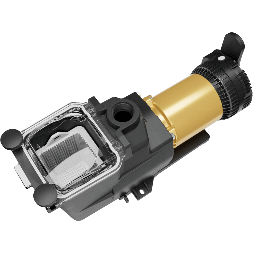 Top angled view of the Hayward Super Pump VS 615 Pool Pump with OmniX on a transparent background, looking down into the clear strainer lid and the white internal basket. The basket’s rectangular rim and perforated sides are visible through the lid, with the two black round lid knobs positioned at the near left corner and the far right corner. The black inlet and outlet ports rise from the pump housing near the top centre, while the gold motor cylinder extends diagonally toward the upper right, ending in the black rear fan shroud and the upright OmniX module silhouette.