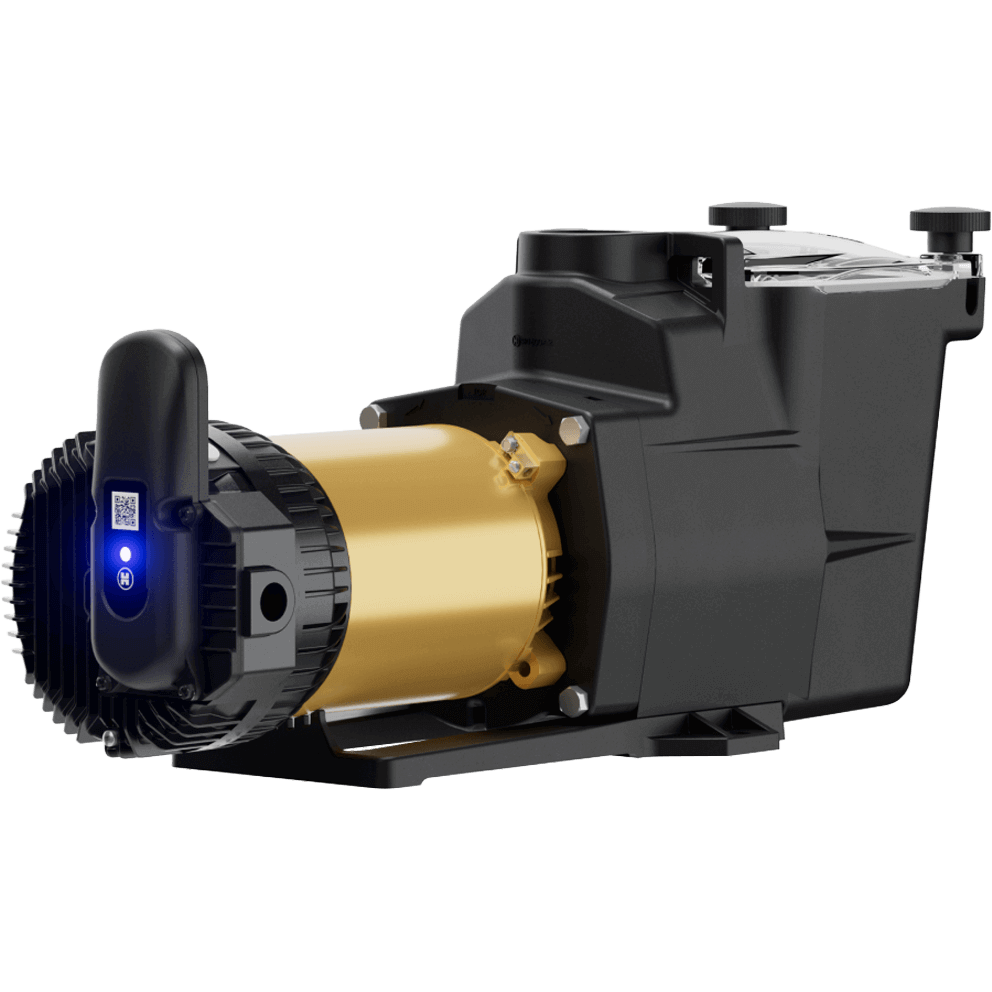 Top angled view of the Hayward Super Pump VS 620 Pool Pump with OmniX, shown on a transparent background, featuring the rectangular black strainer housing at the front with a clear lid secured by two large round black hand knobs at the left and right corners, revealing the white internal debris basket beneath. The suction port is centred on the front face of the strainer housing, while the discharge port rises vertically from the top rear of the housing. Extending to the right is the gold-coloured permanent magnet motor cylinder mounted horizontally, transitioning into the black rear motor end cap with radial cooling vents. The OmniX communication module is mounted on the rear motor face, displaying a vertical black antenna housing with a blue illuminated status light and a visible QR code label. The pump sits on an integrated black mounting base with raised feet.