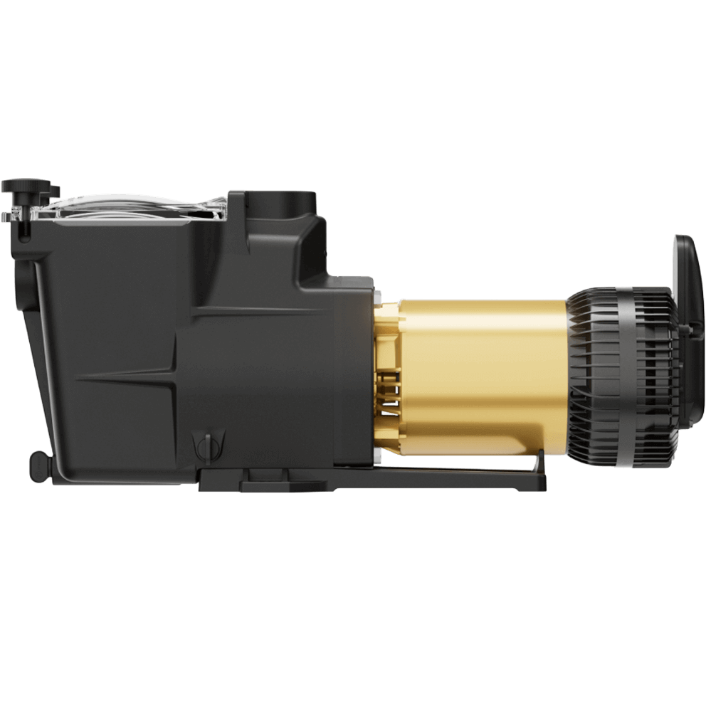 Side profile view of the Hayward Super Pump VS 620 Pool Pump with OmniX on a transparent background, showing the left side of the black strainer housing with angular reinforcement ribs and a smooth matte finish. The clear strainer lid sits flush on top, secured by two black hand knobs, while the discharge port is visible rising from the top rear corner. The gold motor body extends horizontally to the right, with its smooth cylindrical surface clearly visible, ending at the black rear motor housing with ventilation slots. The OmniX antenna module protrudes vertically from the rear, with the blue status indicator illuminated.