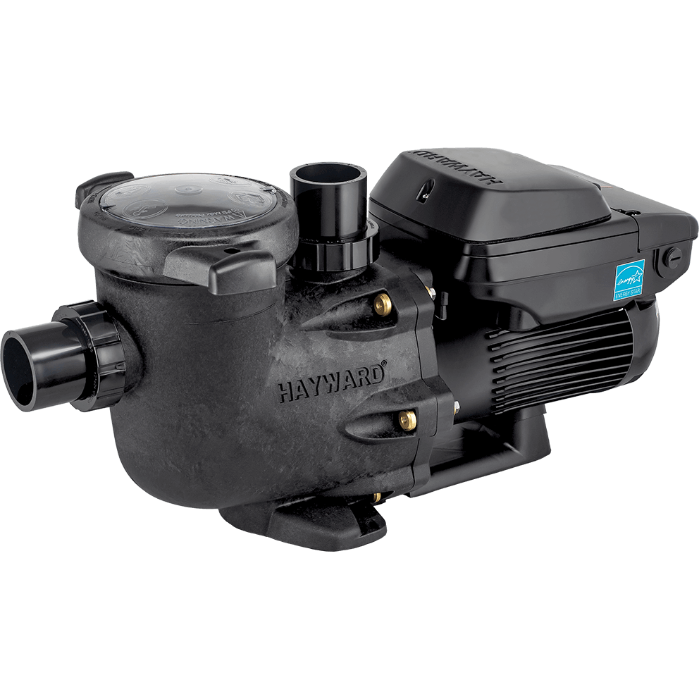 Angled three quarter view of the Hayward TriStar VS 950 Omni pool pump on a transparent background, showing both the strainer housing and motor assembly from a front-left perspective. The rounded strainer pot dominates the foreground, capped with a clear Lexan lid that reveals the internal basket area beneath. The inlet port extends horizontally from the front of the housing, while the vertical discharge port rises behind the lid with a smooth cylindrical opening. The wet end casing has a subtly textured black finish with brass bolts evenly spaced along the volute flange. The motor assembly extends rearward, featuring a ribbed black motor body for airflow and heat dissipation. On top of the motor, the Omni control housing is clearly visible, closed, with a slightly raised profile and smooth edges. The ENERGY STAR label appears on the side of the motor housing, adding a small accent of blue. The integrated base and mounting feet are visible below, with the entire pump cleanly isolated on a transparent background.