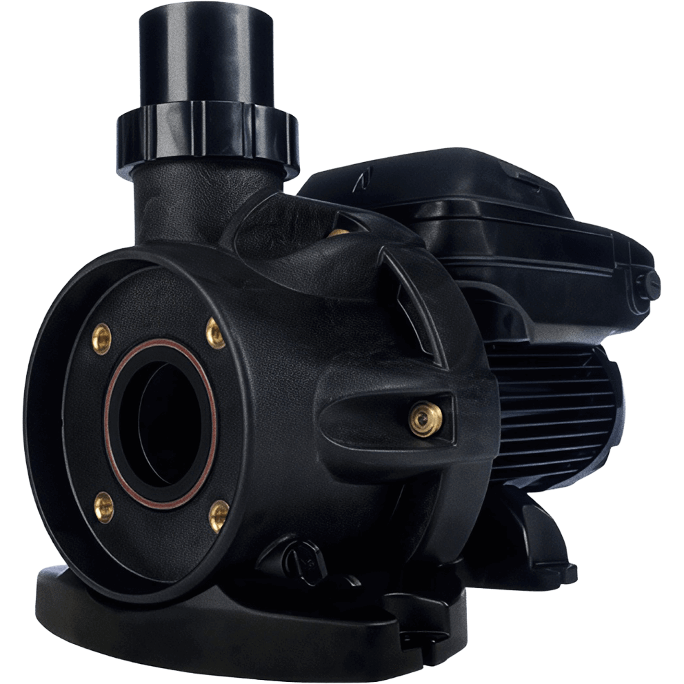 Rear angled product image of a Hayward TriStar XL pool pump shown isolated on a transparent background, viewed from the back right at a three quarter angle. The image focuses on the volute and motor interface, showing the rounded pump housing secured with multiple visible fasteners and brass inserts around the circular flange. The central suction opening is visible at the front of the volute, while the vertical discharge outlet extends upward at the top. To the right, the totally enclosed fan cooled motor is shown in detail, with horizontal cooling fins, a compact rear housing, and a low profile motor shroud designed for energy efficiency and quiet operation. The reinforced base and mounting feet are visible below, emphasising durability and vibration control.