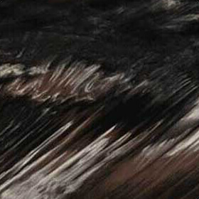 Close-up view of the Midnight Canyon acrylic colour option for Maple Spas hot tubs, displaying a bold fusion of deep black, espresso brown, and creamy beige tones. The surface features sweeping, high-contrast marbling with sharp diagonal streaks and layered striations that create a dramatic, canyon-inspired effect. Dark, almost jet-black bands intersect with lighter caramel and ivory highlights, adding depth and movement. The glossy acrylic finish enhances the richness of the darker pigments while reflecting light smoothly, producing a luxurious and visually striking spa interior appearance.