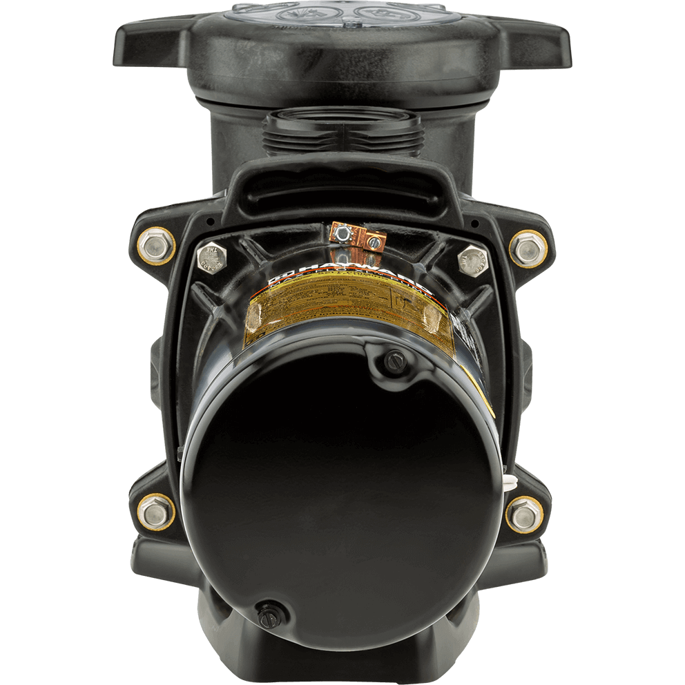 End-on view of the Hayward MaxFlo XL Pool Pump from the motor side, isolated on a transparent background, with the motor’s round end cap dominating the foreground. Behind it, the wet end rises upward, showing the upper handle-like arch and the threaded discharge outlet positioned at the top centre. Four prominent fasteners frame the seal plate area around the motor connection, creating a square-like bolt pattern around the motor’s attachment point. The base appears as a broad, curved platform beneath the motor, with the wet end’s bulk tapering upward toward the lid.