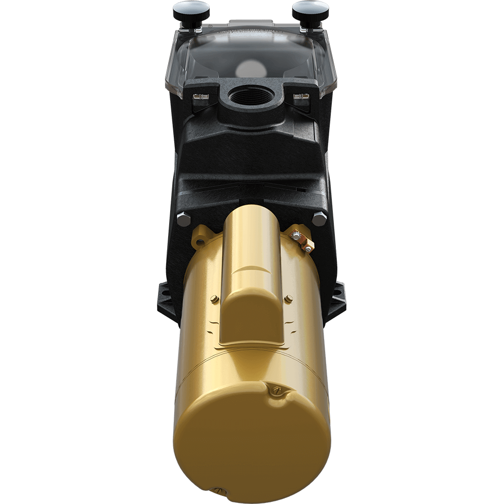 Top angled view of the Hayward Super Pump high-efficiency pool pump on a transparent background, showing the black thermoplastic strainer housing in the foreground with a clear see-through lid secured by two swing-away hand knobs, the circular threaded suction port opening visible on the face of the housing, the textured pump body with moulded reinforcement ribs, and the cylindrical gold motor extending behind with a rounded end cap, cooling vents, and a raised top wiring compartment mounted along the motor casing, all supported by an integrated black mounting base.