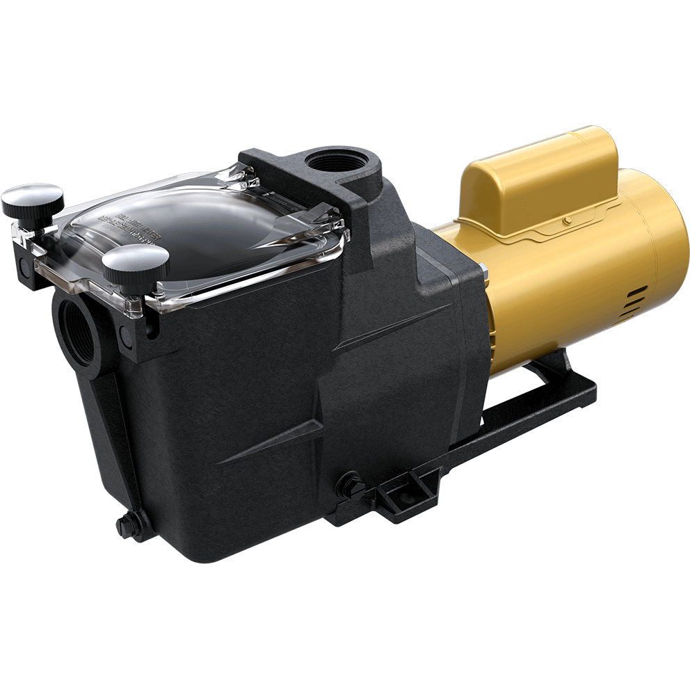 Angled view of the Hayward Super Pump high-efficiency pool pump on a transparent background, showing the pump body from a slightly elevated perspective with the clear strainer lid visible at the top, both hand knobs evenly spaced, the suction port opening recessed into the housing, the rectangular pump body transitioning into the gold motor section, visible fasteners at the pump to motor junction, and the motor’s cylindrical form with ventilation slots and smooth metallic finish extending horizontally along the mounting base.