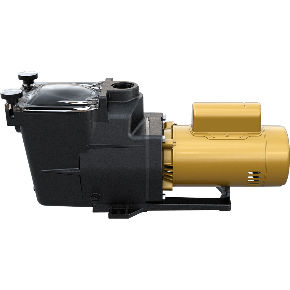 Top-down view of the Hayward Super Pump high-efficiency pool pump on a transparent background, showing the full outline of the rectangular strainer housing with the clear lid centred and both hand knobs symmetrically positioned, the circular suction port opening visible from above, the pump body aligned directly behind the strainer, and the gold cylindrical motor extending straight back with its top wiring compartment clearly visible, creating a linear layout from strainer housing to motor end.