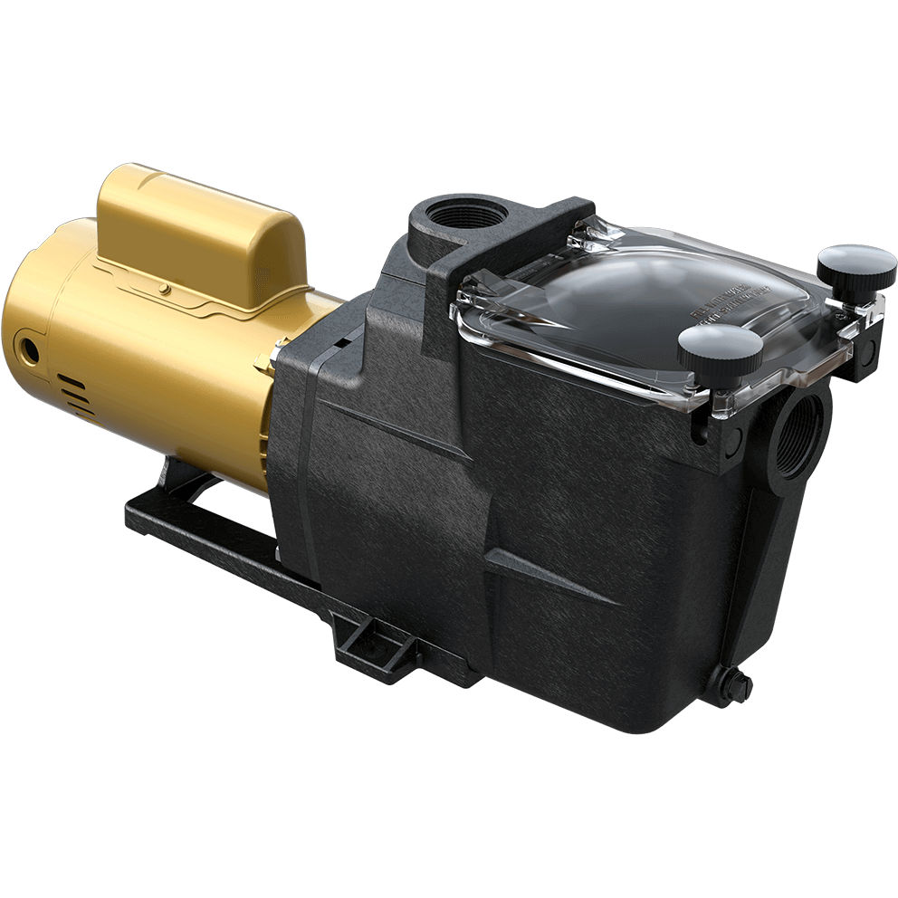 Angled view of the Hayward Super Pump high-efficiency pool pump on a transparent background, focusing on the transition between the strainer housing and motor, with the clear lid and hand knobs visible at the top, the textured black housing walls with moulded contours, the circular suction port opening partially visible, and the gold motor section extending rearward with visible mounting bolts, ventilation slots, and a smooth rounded motor end supported by the black base.