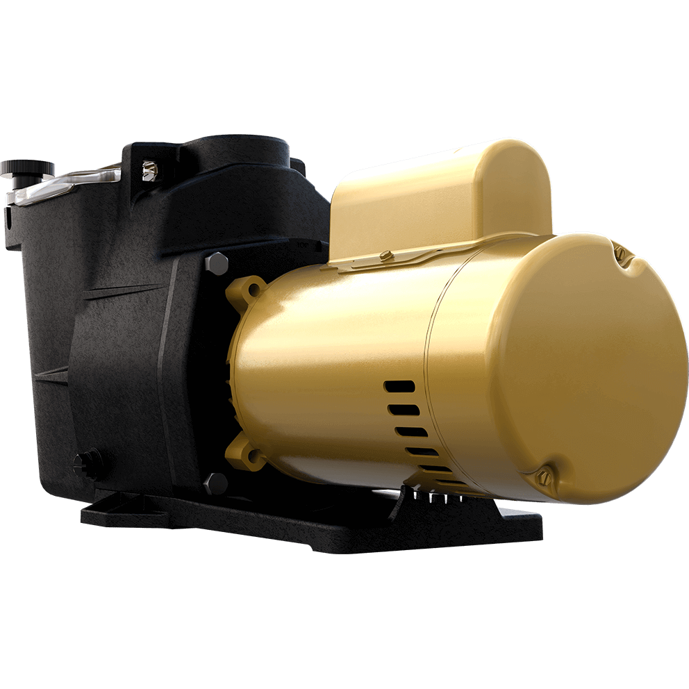 Angled view of the Hayward Super Pump high-efficiency pool pump on a transparent background, showing the opposite angled perspective of the pump body and motor without assigning directional labels, with the clear strainer lid and hand knobs visible at the top of the housing, the textured black pump body with moulded reinforcement lines, the circular suction port opening recessed into the housing face, and the gold cylindrical motor extending outward with smooth metallic finish and rear ventilation details.