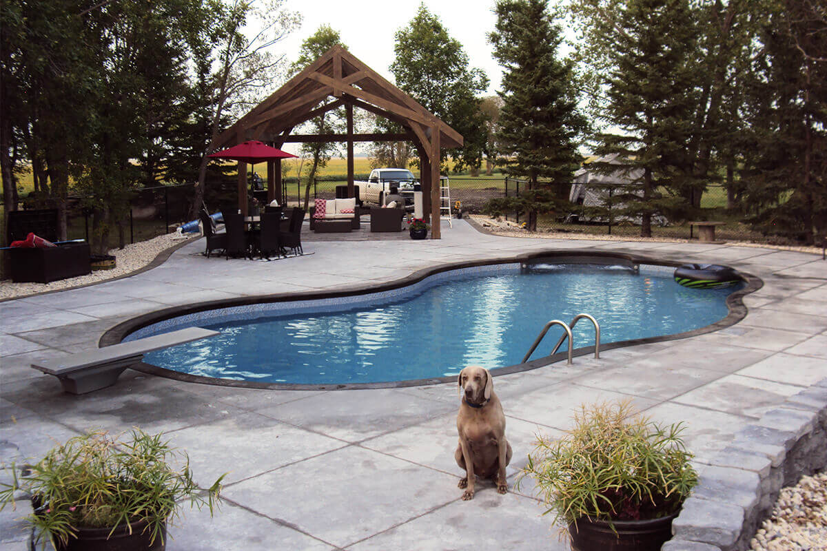 This wide angle backyard photograph showcases a complete look at the Waverley custom freeform pool with pavilion during a peaceful afternoon. In the exact centre foreground, a large brown short-haired dog sits calmly on the expansive light grey textured concrete deck that wraps around the entire scene. To the left, a grey diving board points into the clear blue water of the freeform swimming pool, which also features a green and black inflatable ring floating near the right edge and a stainless steel ladder on the far side. Behind the pool on the left, a patio dining set with a large open red umbrella provides a space for family gatherings. Adjacent to the pool in the centre background, the large heavy-timber wooden pavilion stands open, showcasing light-coloured outdoor sofas beneath its high gabled roof line. The backyard environment is fully enclosed by a black safety fence and framed by dense green deciduous trees on the left and tall conical evergreen trees on the right.